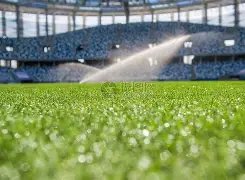 独家揭秘,维多利亚目,睹长子绝情,欧亿体育官网,欧亿体育直播,体育赛事直播,足球直播