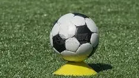 欧亿体育 资讯 135130 q6l