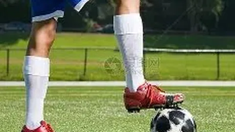 欧亿体育 资讯 135238 fw6