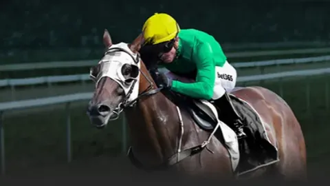 鸡蛋密码逆袭：揭秘网络流量江湖的奇幻奥秘