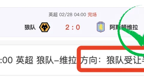 体育界辉煌历程：年薪之王运动员档案一览